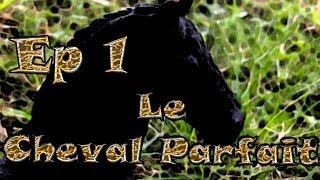 Le Cheval Parfait quotépisode 1quot [upl. by Imefulo]