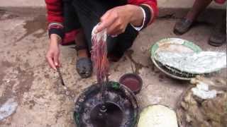 Cochinea Red Dye  The Use of Cochineal Beetles as Natural Fabric Dye in Chinchero Peru [upl. by Adnirolc]