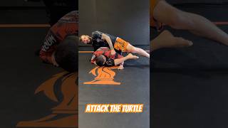 3 submissions attacking the turtle [upl. by Elpmid]