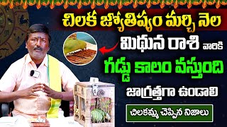 మిథున రాశి వారికి గడ్డు కాలం వస్తుంది Chilaka Jyoshyam  Gemini Zodiac Sign  Times Of Devotion [upl. by Yrreg]