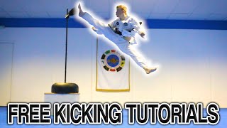 Taekwondo Kicking Tutorials Promo Ginger Ninja Trickster  How to Videos [upl. by Herbie]