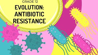 ANTIBIOTIC RESISTANCE  How natural selection occurs today and results in evolution [upl. by Asilrahc]