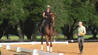 Dressage Training at Whispering Dream Farm in Florida [upl. by Anaiuq932]