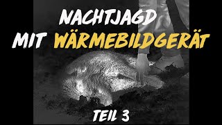 Nachtschicht Jagd mit der Wärmebildkamera 3 [upl. by Haiel557]