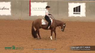 A Judges Perspective 2017 AQHA Select Western Horsemanship World Champion [upl. by Cristy361]