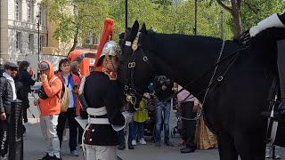 A heartwarming moment the kings guard kisses the horse on the forehead thekingsguard [upl. by Koressa]