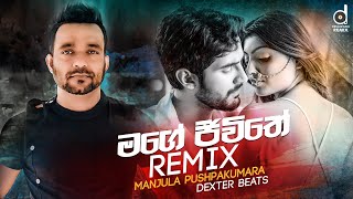 Mage Jeewithe Remix  Manjula Pushpakumara Dexter Beats Sinhala Remix Songs  Sinhala DJ Songs [upl. by Naujd330]