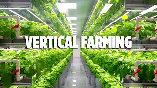 Vertical Farming Revolutionizing Urban Agriculture  InnoVision Tech [upl. by Ethan]