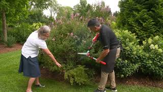 The Best Tool for Cutting Large Branches [upl. by Ennair]