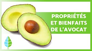 BIENFAITS DE LAVOCAT 🥑 Propriétés Comment le manger et Contreindications [upl. by Guildroy733]