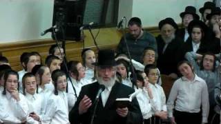 Cantor Shimon Leitner singing Chasoif in Satmar 2011 [upl. by Aryaz689]