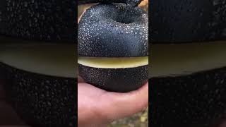 Black Diamond Apple [upl. by Bradney]