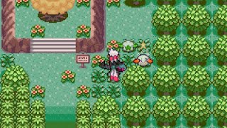 Pokémon Emerald Rogue 20 Shiny Cottonee Caught [upl. by Annas]