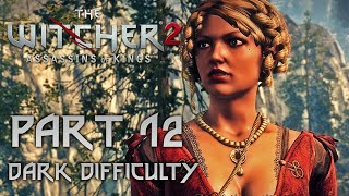 The Witcher 2 Enhanced Edition Gameplay Walkthrough 4K widescreen Part 12 [upl. by Joellyn]