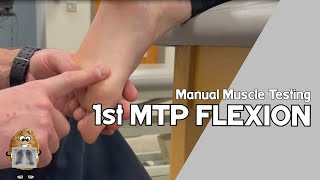 MMT 1st Metatarsophalangeal MTP Joint Flexion Manual Muscle Test [upl. by Zilvia648]