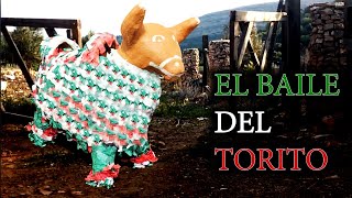 El Baile del Torito [upl. by Fiske737]