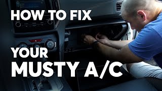 How to Get Rid of the Musty Smell From Your Car’s Air Conditioner  Consumer Reports [upl. by Bbor]