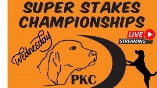 2024 PKC Fall Super Stakes Wednesday [upl. by Asabi]