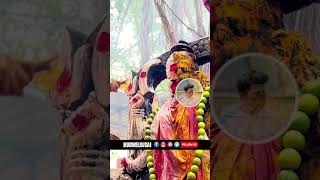 2024 bonalu ytshorts bonalu treding viral shorts falaknumaexpress budweldjsai [upl. by Clovah]