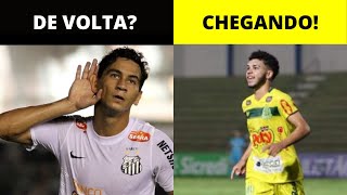 GANSO DE VOLTA  MORAES DEVE SER ANUNCIADO  FELIPE SARAIVA E ZANOCELO PODEM CHEGAR [upl. by Yanal284]