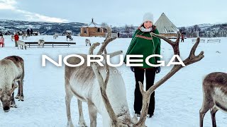 4 dias em TROMSØ na NORUEGA  AURORA BOREAL RENAS e muita NEVE [upl. by Wonacott]