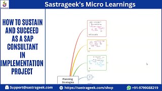 How to Sustain and Succeed as a SAP Consultant in Implementation Project [upl. by Bengt]