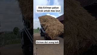 Ada kiriman pakan lagi 1truk untuk mas iyun dari orang baikkiriman dari orang baik selalu ada [upl. by Ailat]