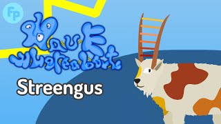 Streengus  Wave Whereabouts  My Singing Monsters  The Geologers  Individual Sounds [upl. by Nepets]