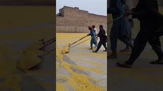 mung daal factory faisalabad youtube travel [upl. by Lafleur]