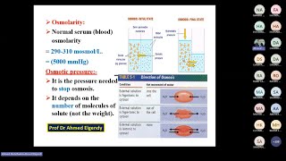 Physiology membrane transport by Prof Ahmed ElGendy [upl. by Anastasius]