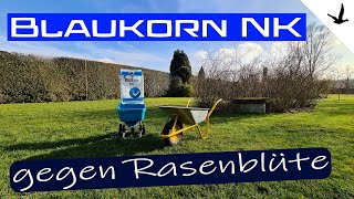 Rasendünger Blaukorn NK gegen Rasen Blüte🚩Erklärung und Anwendung [upl. by Silvie]