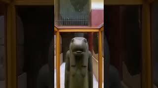 Taweret egypt ancientegypt history highlights pyramids travel youtubeshorts museum art [upl. by Lud552]