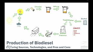 Production of Biodiesel [upl. by Ezalb358]