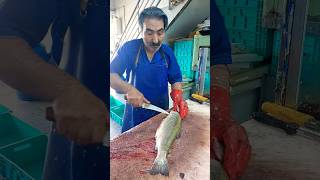 How to fillet a trout for frying fishcutting [upl. by Yekim]