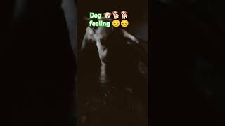 Dog film 📽️🎥 subscribe [upl. by Nerissa]