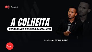 A Colheita  Dia 1  Profeta Alex Milagre [upl. by Daub476]