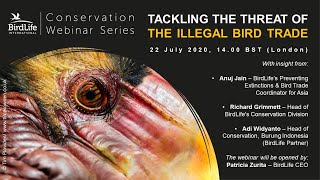 Tackling the Threat of Illegal Bird Trade  BirdLife Conservation Webinar Series [upl. by Crofton]