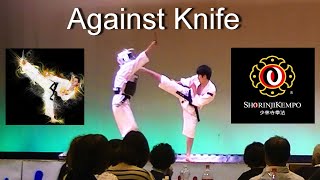 Shorinji Kempo JAPAN Against knifewielding assailant [upl. by Mmada]