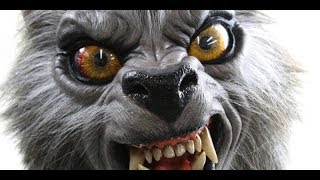 Werewolves of London  Warren Zevon  wlyrics  Aaooooooo [upl. by Helen]