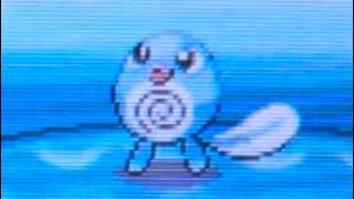 Shiny Poliwag after 748 REs in HGSS [upl. by Emmeline]