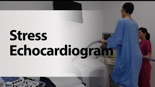 Stress Echocardiogram [upl. by Ecidnarb]