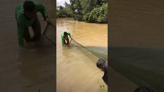 Fishing Part 2 fishing ruralactivities fish ruralcuisine nature videoviral foryou [upl. by Phylys940]