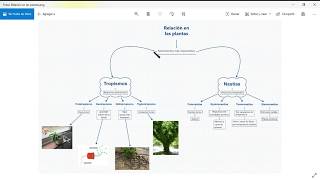 Relación en plantas Tropismos y Nastias [upl. by Jecon]