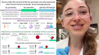 Autoinduction for recombinant protein overexpression [upl. by Haisa]