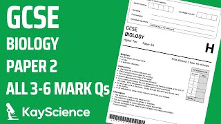 GCSE Biology Paper 2  5 Homeostasis amp Response  Exam Questions amp Answers Revision 36 mark Qs [upl. by Yllier]