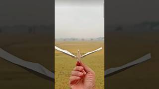 How to make paper flying bird 🕊️ in very easy shortsfeed [upl. by Card637]