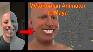 Metahuman Animator to Maya [upl. by Janeen]