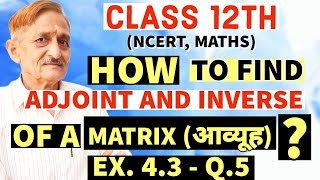 L 07  CLASS 12TH  MATRIX Ka Adjoint And Inverse Kaise Nikale  Adjoint And Inverse Of Matrix [upl. by Seth]