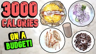 CHEAP 3000 Calorie Meal Plan For WEIGHT GAIN [upl. by Gerardo]