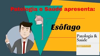 Histologia  Esôfago [upl. by Iahs]